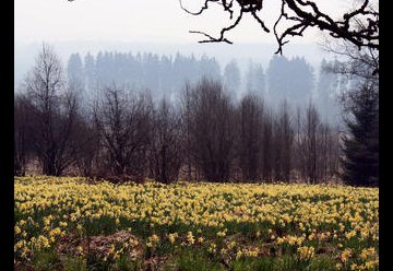 Visueller Vorgeschmack auf einmaliges Naturphänomen