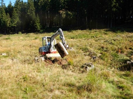 Während der Wanderung stellen die Projektverantwortlichen die geplanten Maßnahmen vor und beantworten Fragen der Besucher. (Foto: Biologische Sta