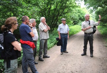 Wälder des Kermeters – wie weit ist die Entwicklung zur Wildnis?