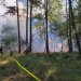 Waldbrand im Nationalpark Eifel gelöscht - Nach wie vor große Gefahr 