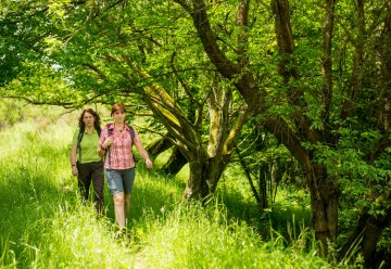 Wanderwege werden neu ausgezeichnet