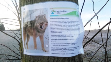 Warnhinweis an einem Baum. Foto: V. Möller