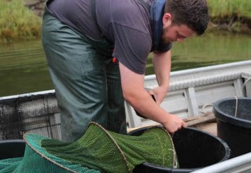 Was schwimmt denn da?