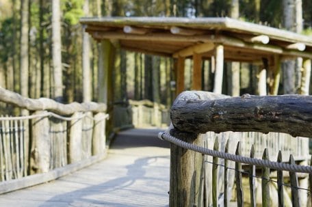 Wegen Instandsetzungsarbeiten ist "Der Wilde Weg" in den nächsten Tagen jeweils von 8:30 Uhr bis 15:30 Uhr gesperrt.