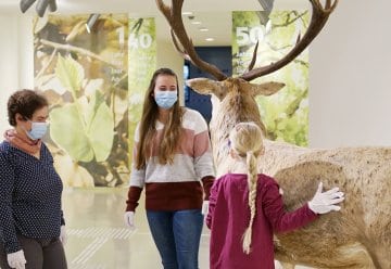 „Wildnis(t)räume“ im Nationalpark Eifel öffnen wieder ihre Türen
