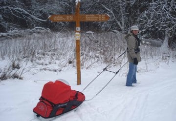 Wildnis unter&#039;m Weihnachtsbaum