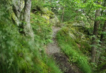 Wildnis zu verschenken!