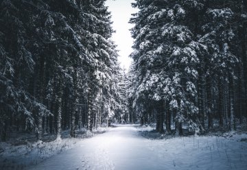 Winterwandern und Skilanglauf am Wochenende