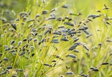 Wir brauchen Verstärkung in der Online-Redaktion