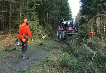 Wir suchen Unterstützung: Forstwirt:in (m/w/d) in der Verkehrssicherung