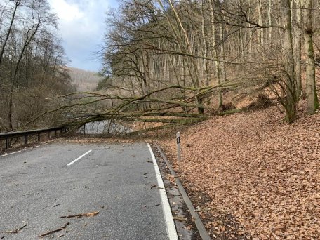 Zahlreiche umgestürzte Bäume führen zu einer Sperrung der B266 zwischen Simmerath-Einruhr und dem Parkplatz Walberhof/Vogelsang IP.