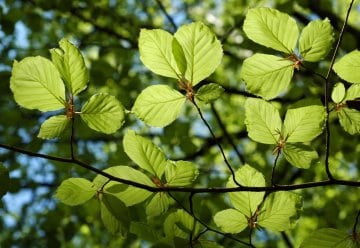 Zentrale Projekte der Tourismusentwicklung definieren