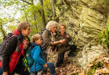 Zertifizierte Waldführer*innen gehen mit Ihnen auf Tour und richten sich thematisch ganz nach Ihren Interessen.