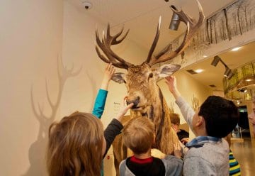 Zu Ostern: Biene, Buche, Bergmolch &amp; Co. – Frühling im Nationalpark-Zentrum Eifel