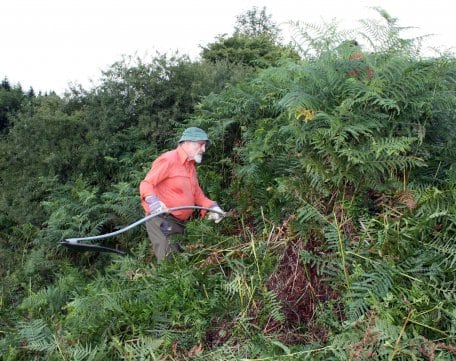 Zu den Aufgaben der Freiwilligen des Bergwaldprojektes gehört auch das Mähen auf verbrachten Wiesen. Foto: A. Olligschläger