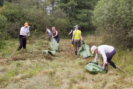 Zu den Aufgaben der Freiwilligen des Bergwaldprojektes gehörte auch das Mähen auf verbrachten Wiesen.