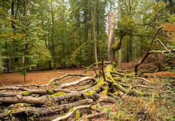 Zwei freie Stellen im Bereich Forschung und Monitoring