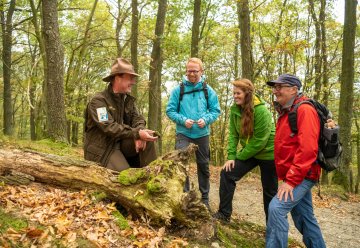 ohne Anmeldung und kostenfrei