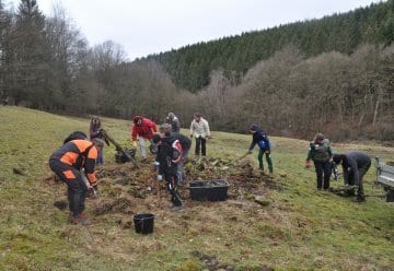 &quot;Reiß die Hütte ab!&quot; - Junior-Ranger im Einsatz für den Nationalpark Eifel