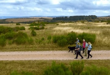 wunderschön und wild