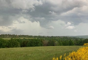 wunderschön und wild